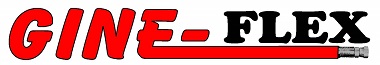 GINE-Flex Logo